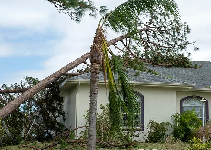 Storm Damage Repair Contractor